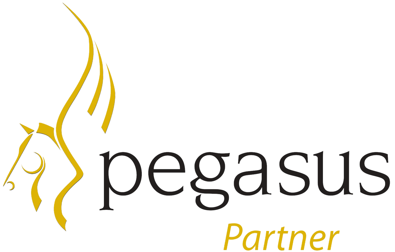 Pegasus-Partner-Logo
